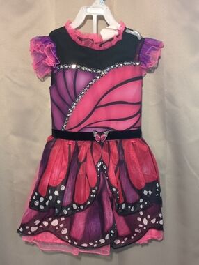 Kids Pink & Purple Butterfly Dress Costume by
